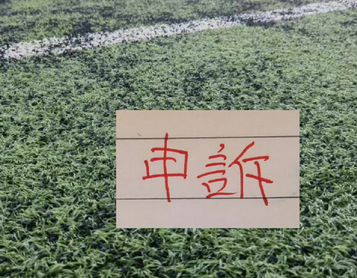 kaiyun体育-还申诉吗？ 北京国安之前山东申诉成功 成都申诉失败！|山东队|中超|山东泰山|津门虎|沈寅豪_新浪体育_新浪新闻
